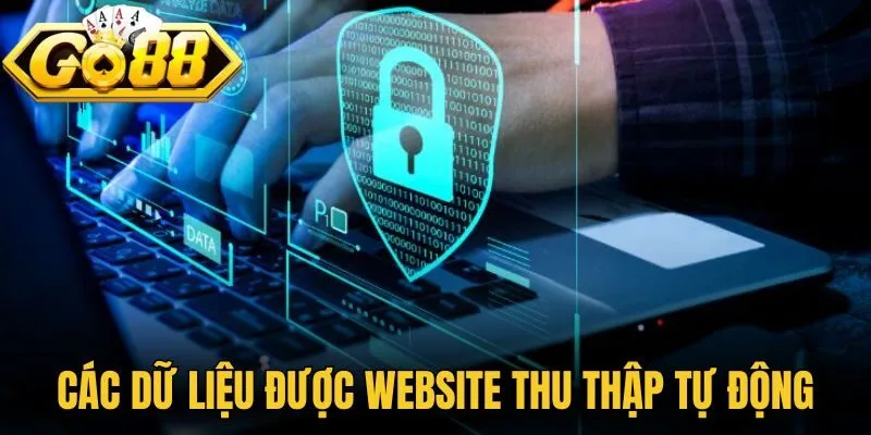 Các dữ liệu được website thu thập tự động